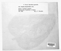 Image Associated With the Occurence